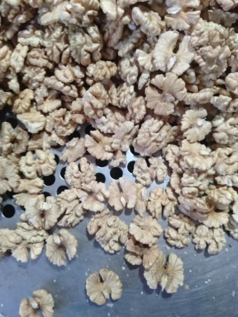 云南核桃薄皮核桃质量保证诚信经营货源稳定全国发货