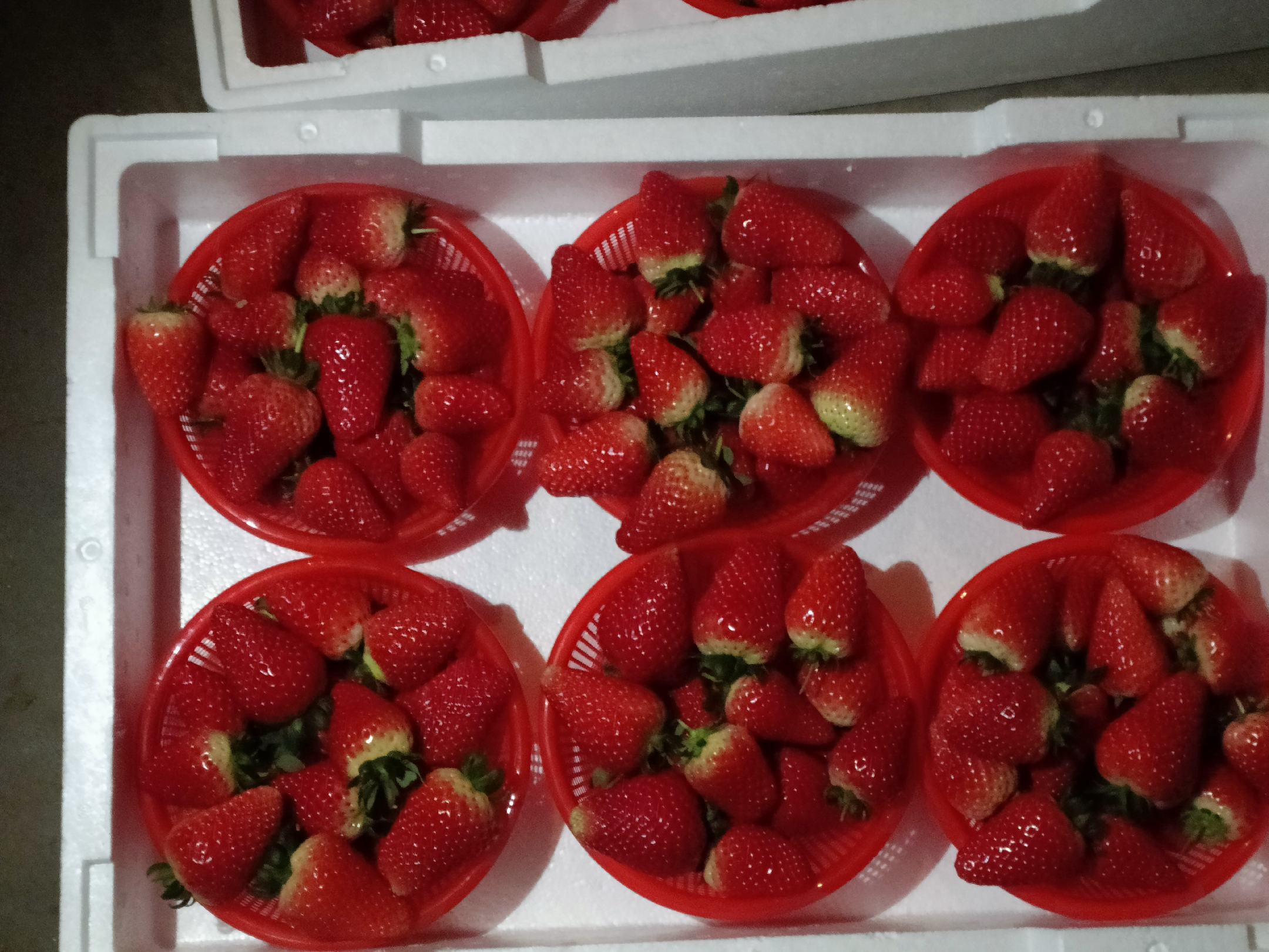 新鲜草莓实物图
