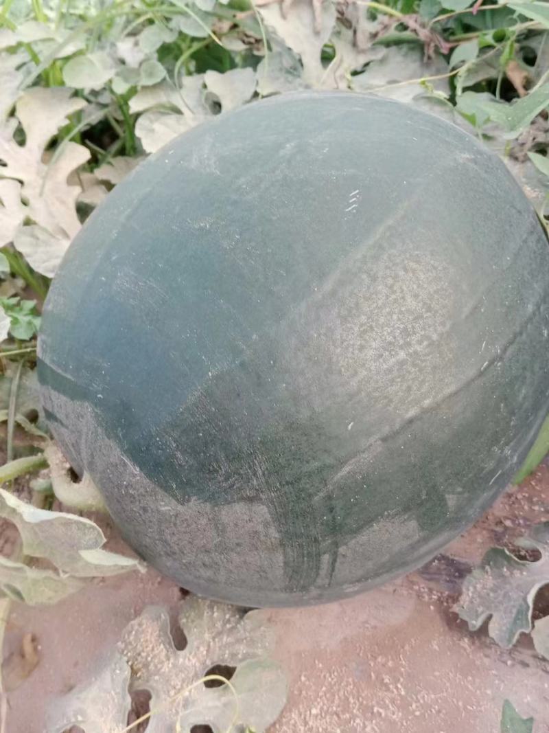 【精品】黑皮无籽西瓜产地直发包熟包甜皮薄多汁商超团购