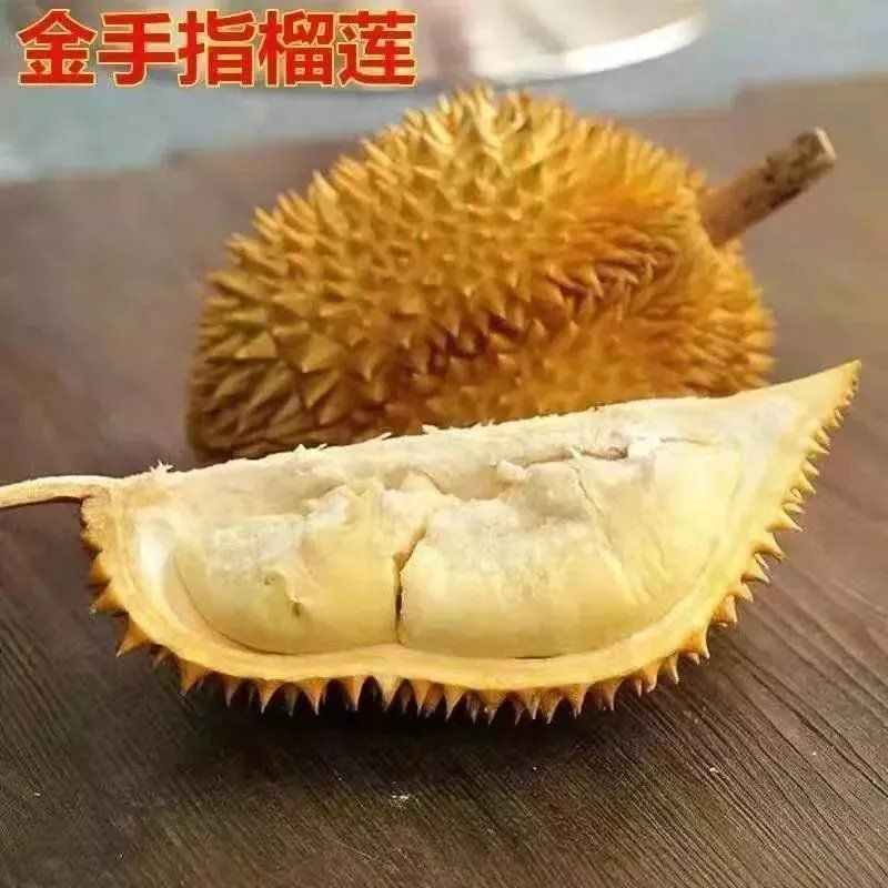 榴莲树苗嫁接种苗盆栽地栽南方北方可种耐寒耐旱当年结果榴莲