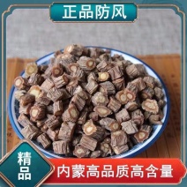 中药材防风内蒙古新货北防风干正品关防风包邮中草药批发店铺