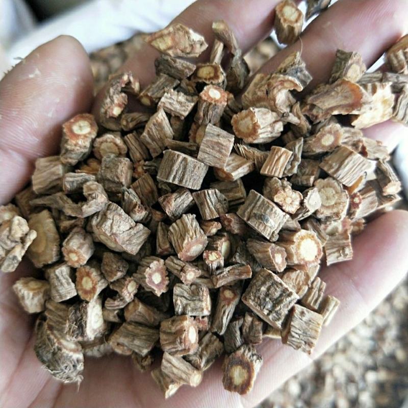 中药材防风内蒙古新货北防风干正品关防风包邮中草药批发店铺