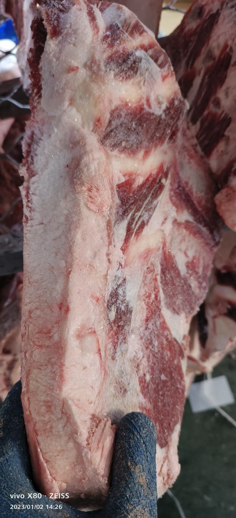 牛胸骨，牛骨，肉多谷饲，口感好，质量保证，价格优惠