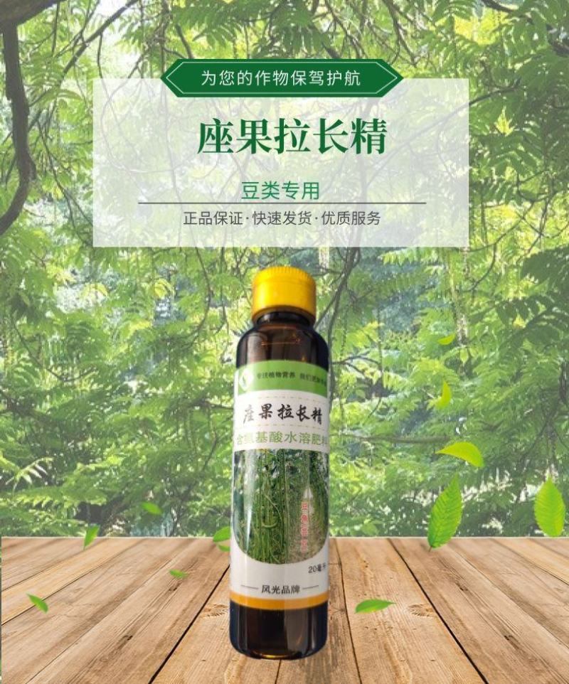 豆角芸豆菜豆豆类拉长素快速拉长强力座果拉长精叶面肥