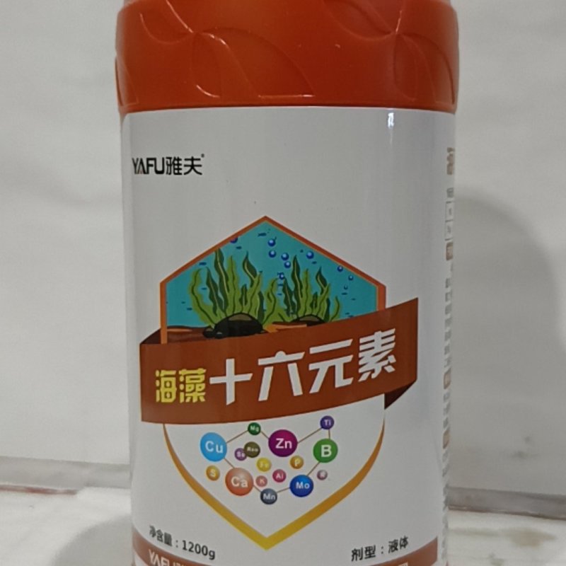 含海藻肥稀土大量元素水溶肥可用于各种作物增加产量提高品质