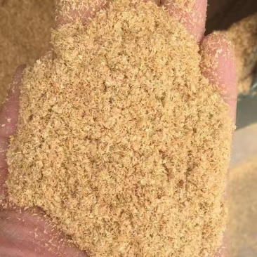 优选小米糠气味芳香量大从优货源稳定欢迎来电