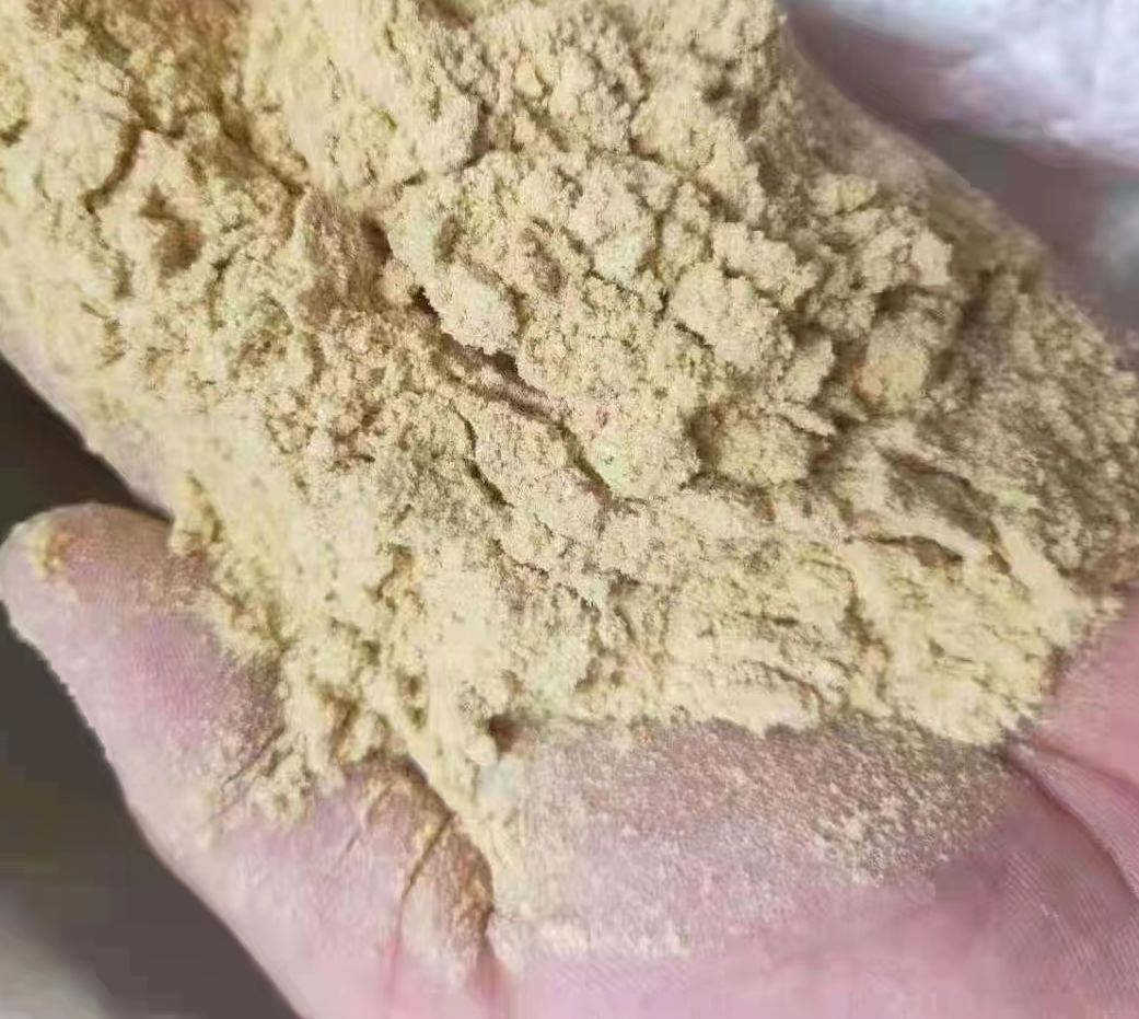 大豆品种外观对比