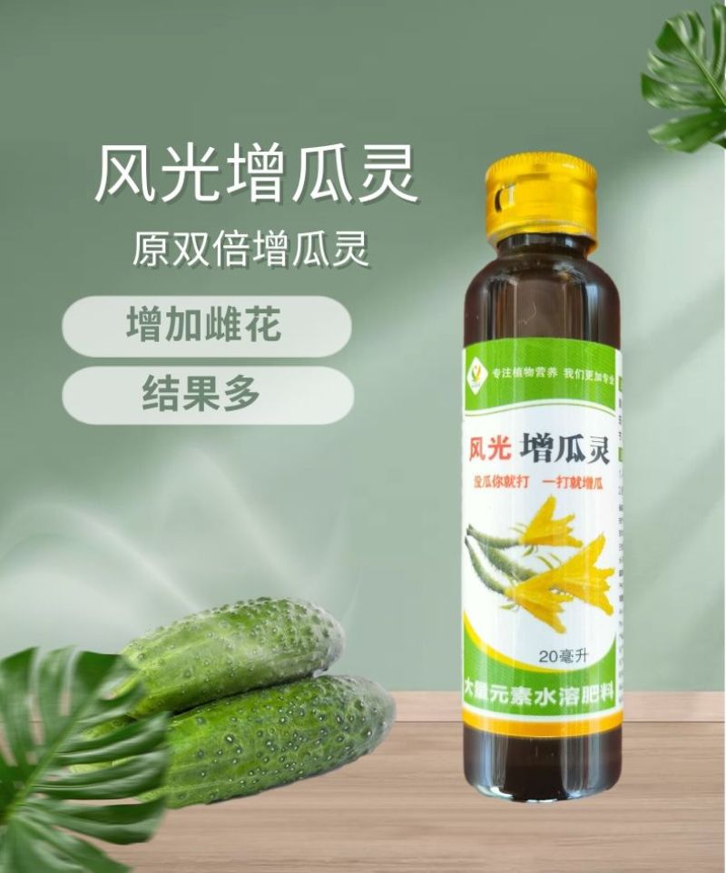 风光增瓜灵黄瓜丝瓜西葫芦瓠子南瓜甜瓜专用增瓜座瓜灵