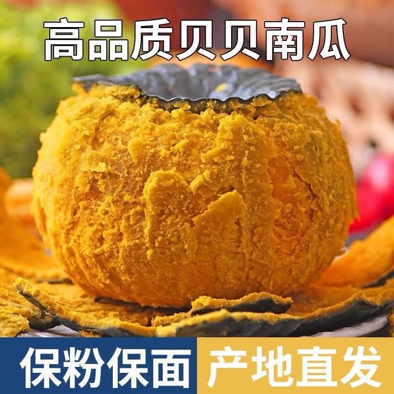 贝贝南瓜粉糯香甜老熟粉面现摘现发专业做南瓜