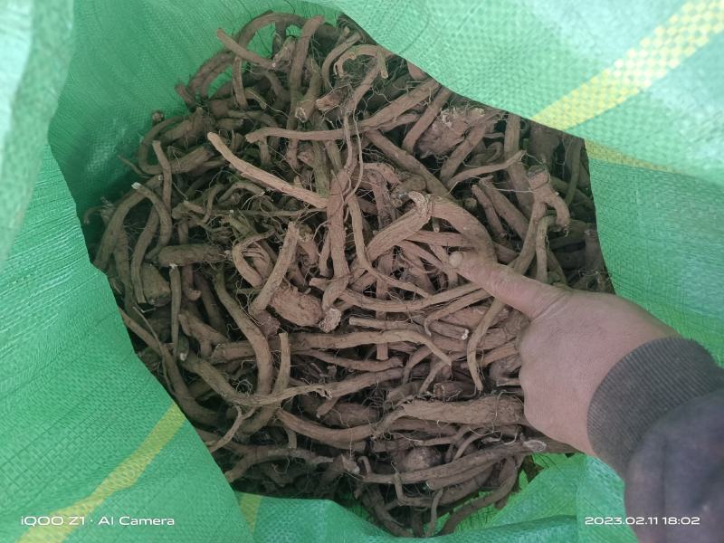 卖自家云木香10吨