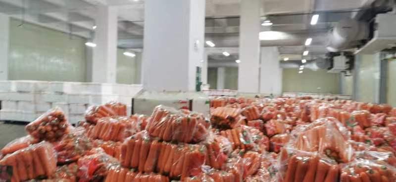 水果萝卜与其他蔬菜搭配摆盘