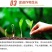 根腐康枯草芽孢杆菌预防死稞死苗烂根土传病害微生物菌剂