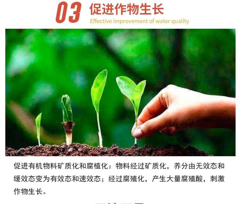 根腐康枯草芽孢杆菌预防死稞死苗烂根土传病害微生物菌剂