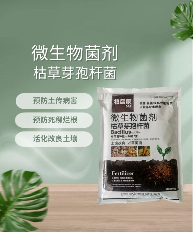 根腐康枯草芽孢杆菌预防死稞死苗烂根土传病害微生物菌剂