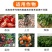 根腐康枯草芽孢杆菌预防死稞死苗烂根土传病害微生物菌剂
