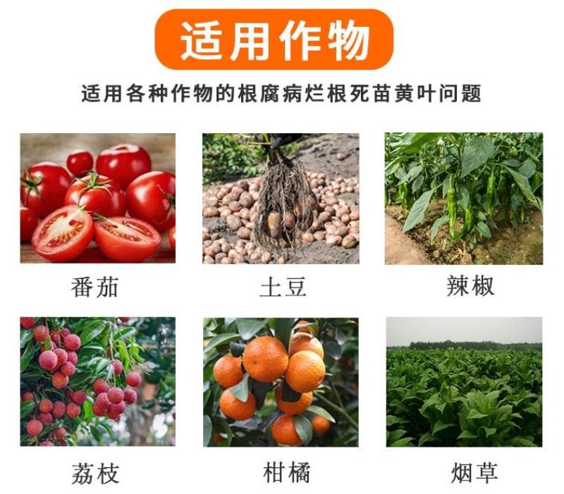 根腐康枯草芽孢杆菌预防死稞死苗烂根土传病害微生物菌剂