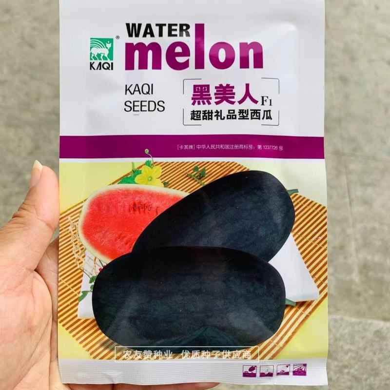 黑美人西瓜种子超甜礼品西瓜种子皮薄长椭圆形黑皮红瓤西瓜