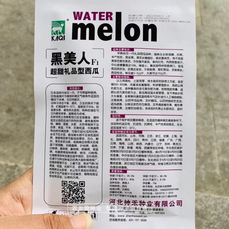 黑美人西瓜种子超甜礼品西瓜种子皮薄长椭圆形黑皮红瓤西瓜