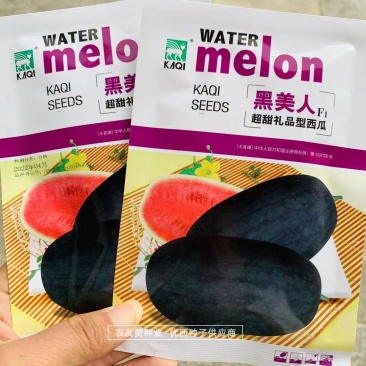 黑美人西瓜种子超甜礼品西瓜种子皮薄长椭圆形黑皮红瓤西瓜