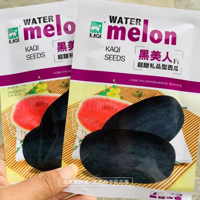 黑美人西瓜种子超甜礼品西瓜种子皮薄长椭圆形黑皮红瓤西瓜