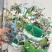 花叶络石福建漳州花叶络石基地直销大量供应