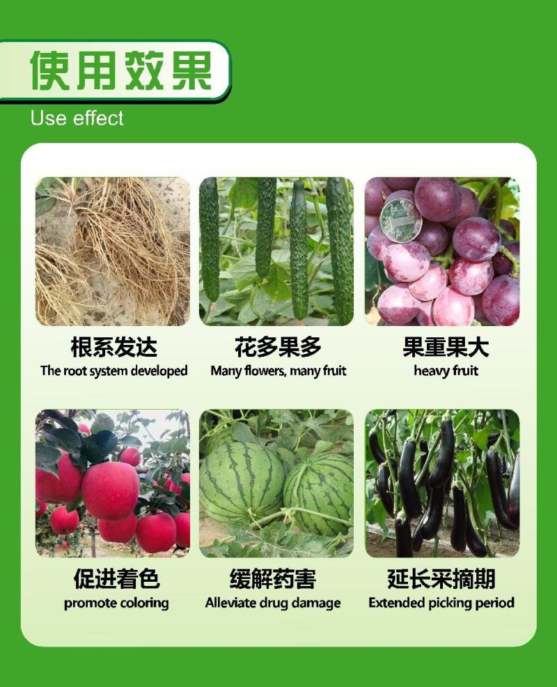 光合碳肥二氧化碳捕集剂光碳核肥促进光合作用绿叶生根