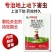 沪联乐撒2%噻虫胺氟氯氰菊酯马铃薯蛴螬地老虎杀虫剂