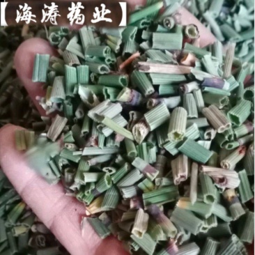 【木贼】产地东北一手货源大货供应规格齐全量大优惠。