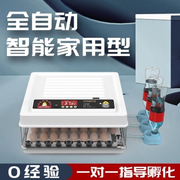 全自动孵化器小型家用孵化机小鸡孵蛋器芦丁鸡孵