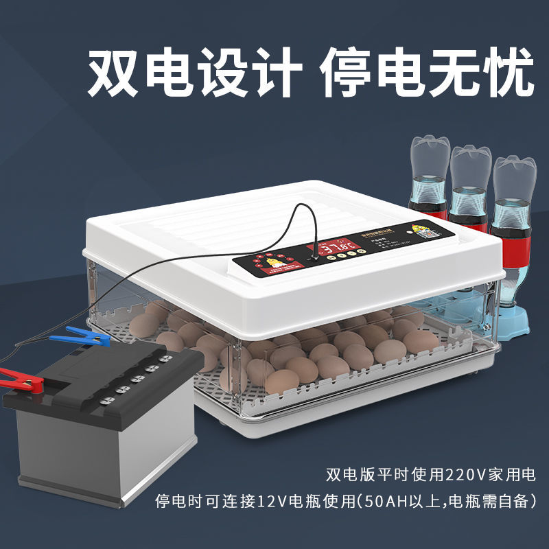 全自动孵化器小型家用孵化机小鸡孵蛋器芦丁鸡孵