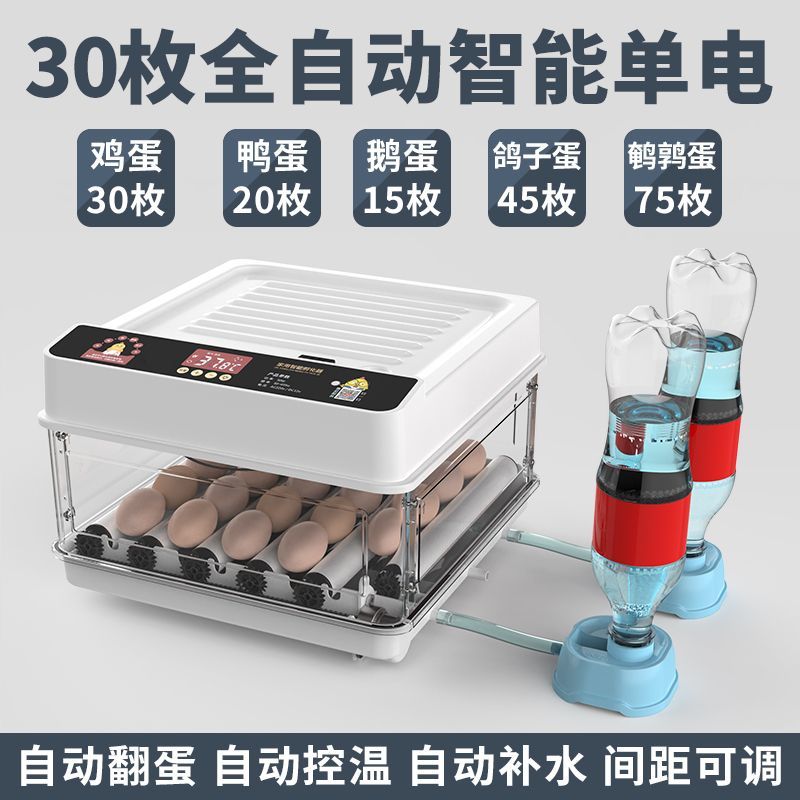 全自动孵化器小型家用孵化机小鸡孵蛋器芦丁鸡孵