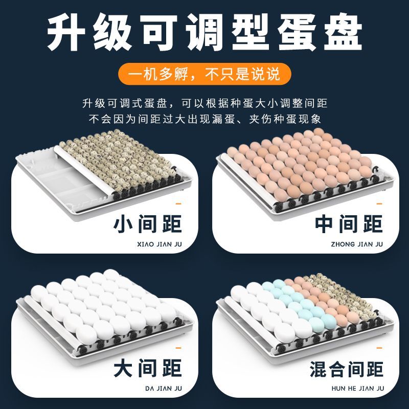全自动孵化器小型家用孵化机小鸡孵蛋器芦丁鸡孵