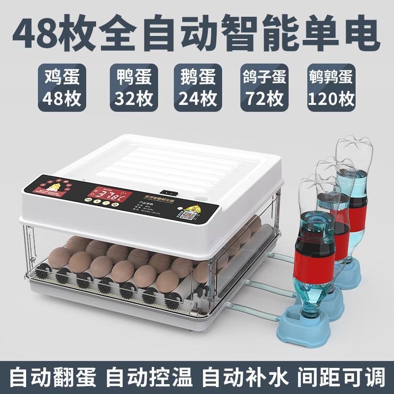 全自动孵化器小型家用孵化机小鸡孵蛋器芦丁鸡孵