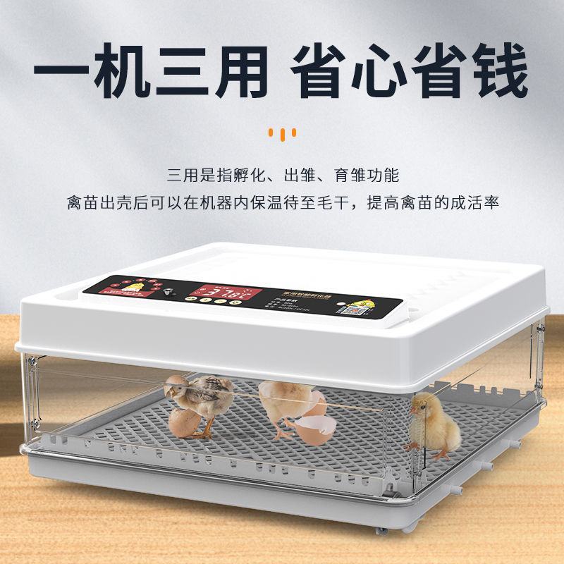 全自动孵化器小型家用孵化机小鸡孵蛋器芦丁鸡孵