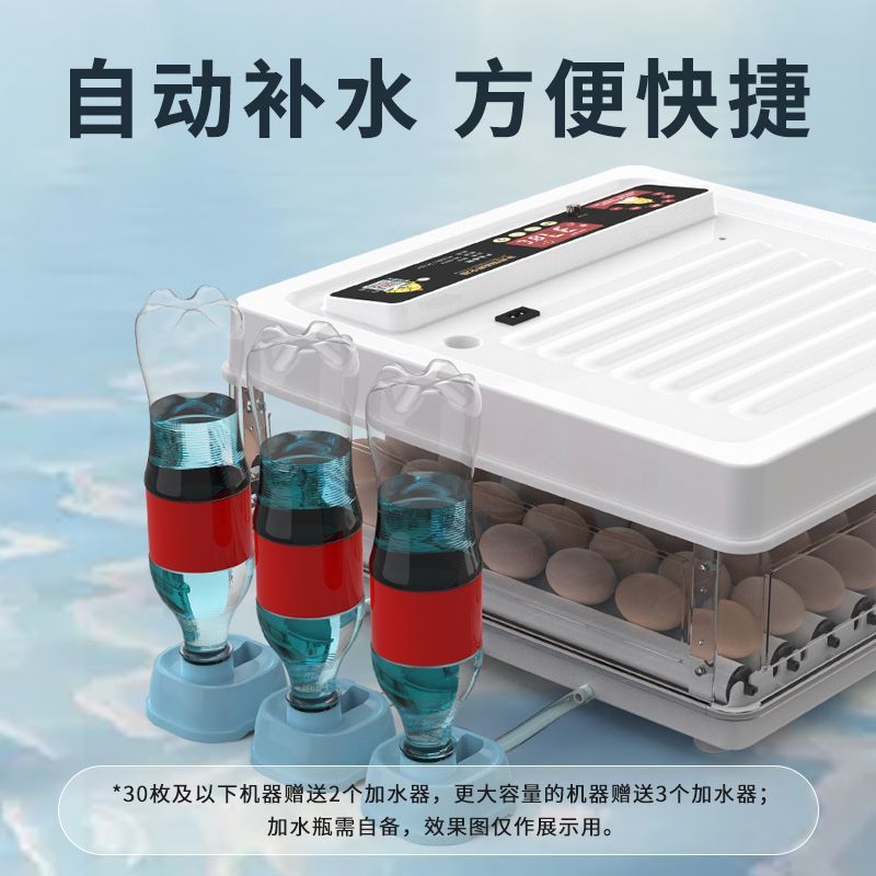 全自动孵化器小型家用孵化机小鸡孵蛋器芦丁鸡孵