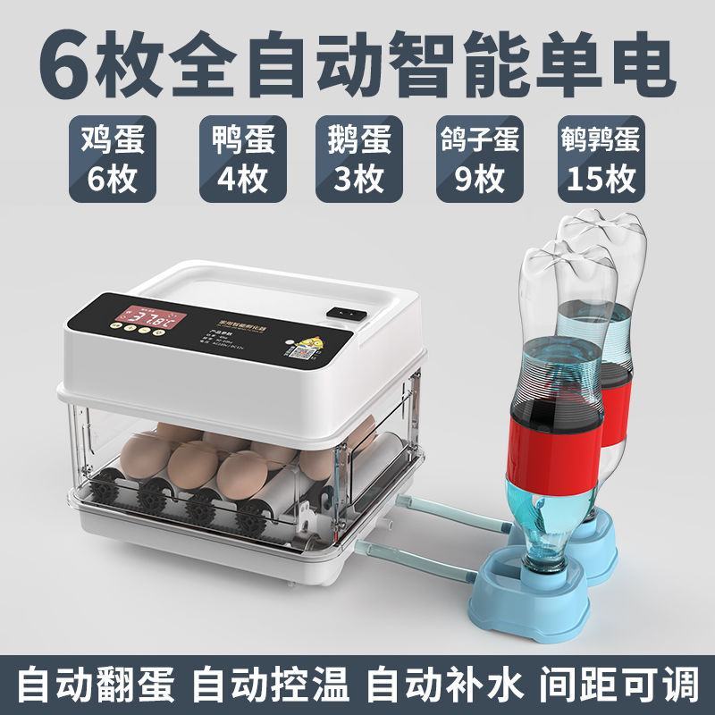 全自动孵化器小型家用孵化机小鸡孵蛋器芦丁鸡孵