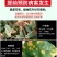 哈茨木霉菌枯草芽孢杆菌防死稞促生根抗重茬微生物菌剂