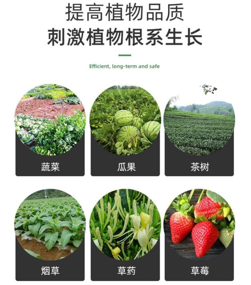 哈茨木霉菌枯草芽孢杆菌防死稞促生根抗重茬微生物菌剂