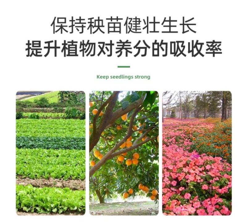 哈茨木霉菌枯草芽孢杆菌防死稞促生根抗重茬微生物菌剂