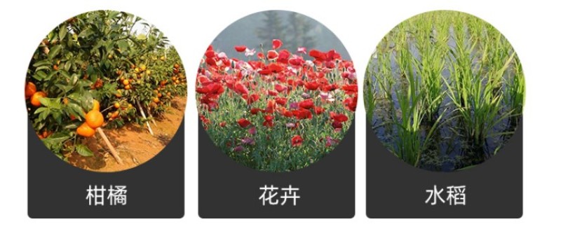 哈茨木霉菌枯草芽孢杆菌防死稞促生根抗重茬微生物菌剂