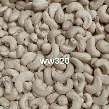 越南生腰果大颗粒整颗干果23年新货现货大量批发