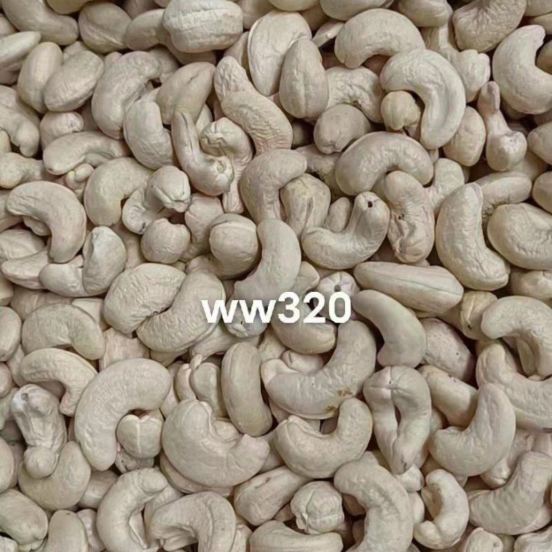 越南生腰果大颗粒整颗干果23年新货现货大量批发