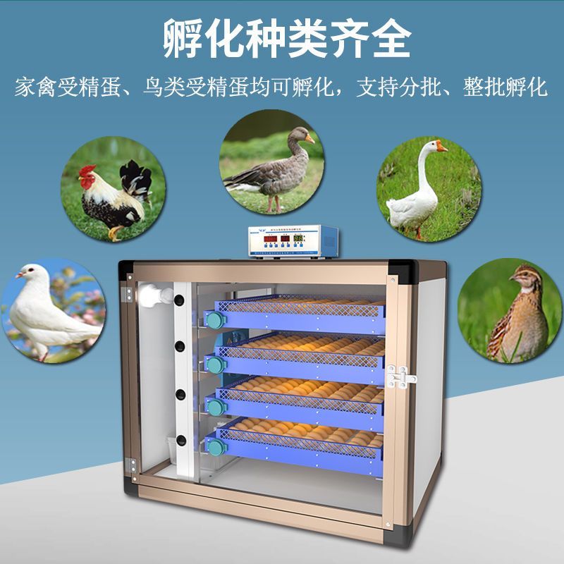 孵化器全自动孵化机智能小型鹌鹑孵化箱家用型小鸡鸭鹅鸽子孵