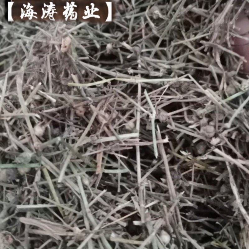 【白花蛇草】产地河南一手货源大货供应规格齐全量大优惠。