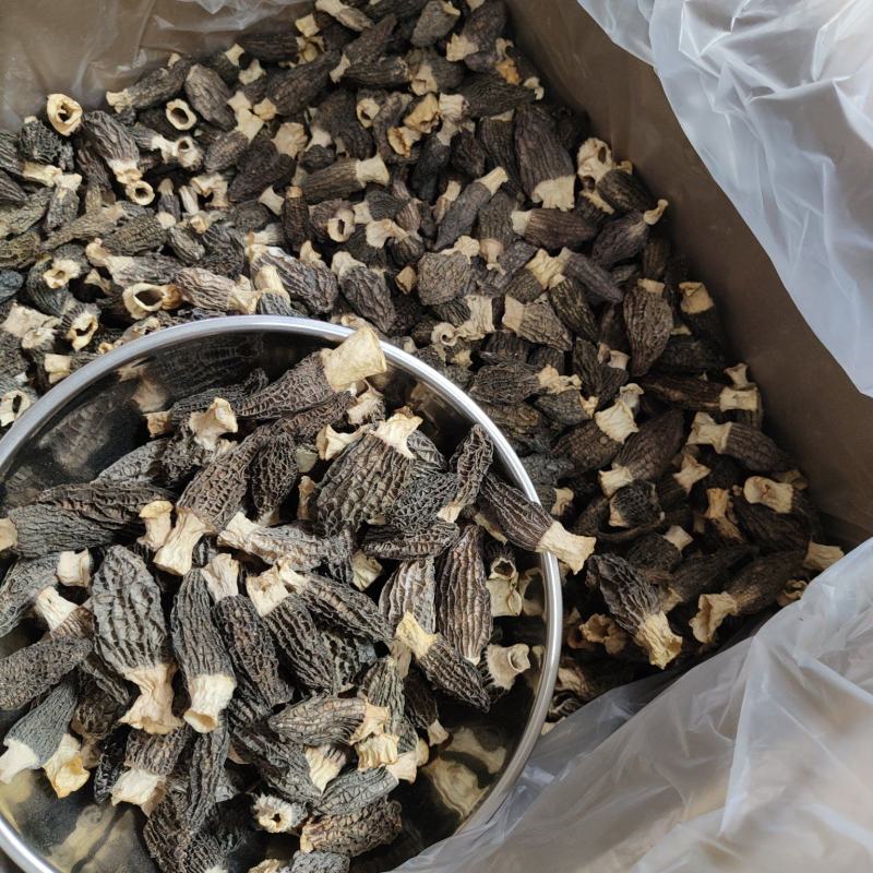 羊肚菌全干货头茬新货颜色鲜亮煲汤必备