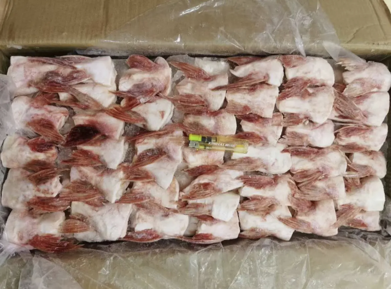 巴沙鱼鳍鲜冻巴沙鱼鳍鱼翅江苏海鲜水产大量供应
