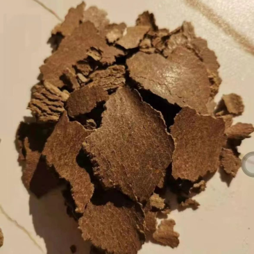 饲料二级花生饼价格便宜支持视频看货货品保证