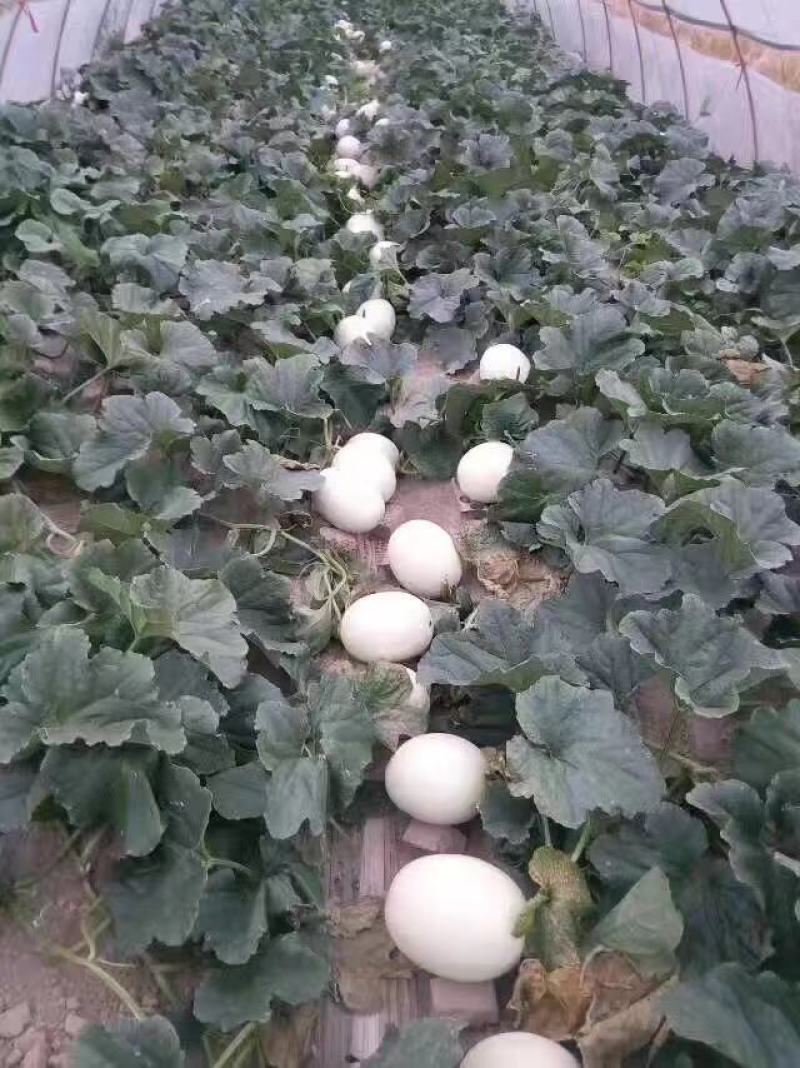 盐城美都，，甜过杨玉莹，红过林志玲