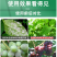 禾益25%乙嘧酚草莓花卉葡萄黄瓜甜瓜白粉病杀菌剂