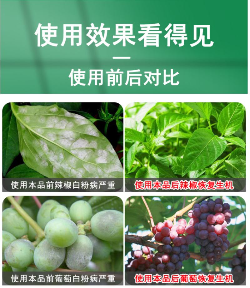 禾益25%乙嘧酚草莓花卉葡萄黄瓜甜瓜白粉病杀菌剂